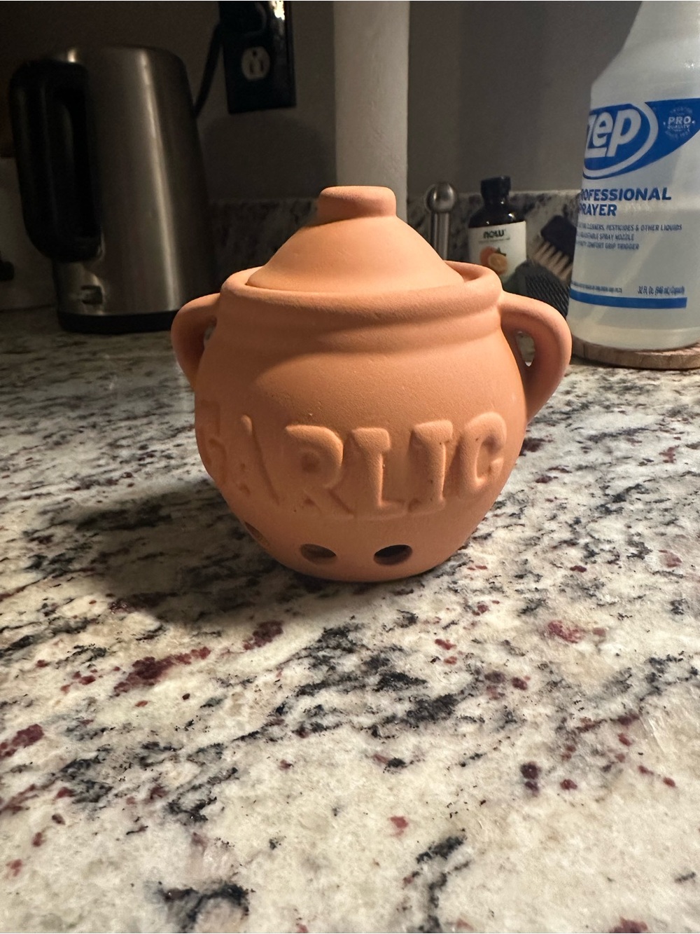 Terracotta Garlic Keeper Jar - Natural Orange
